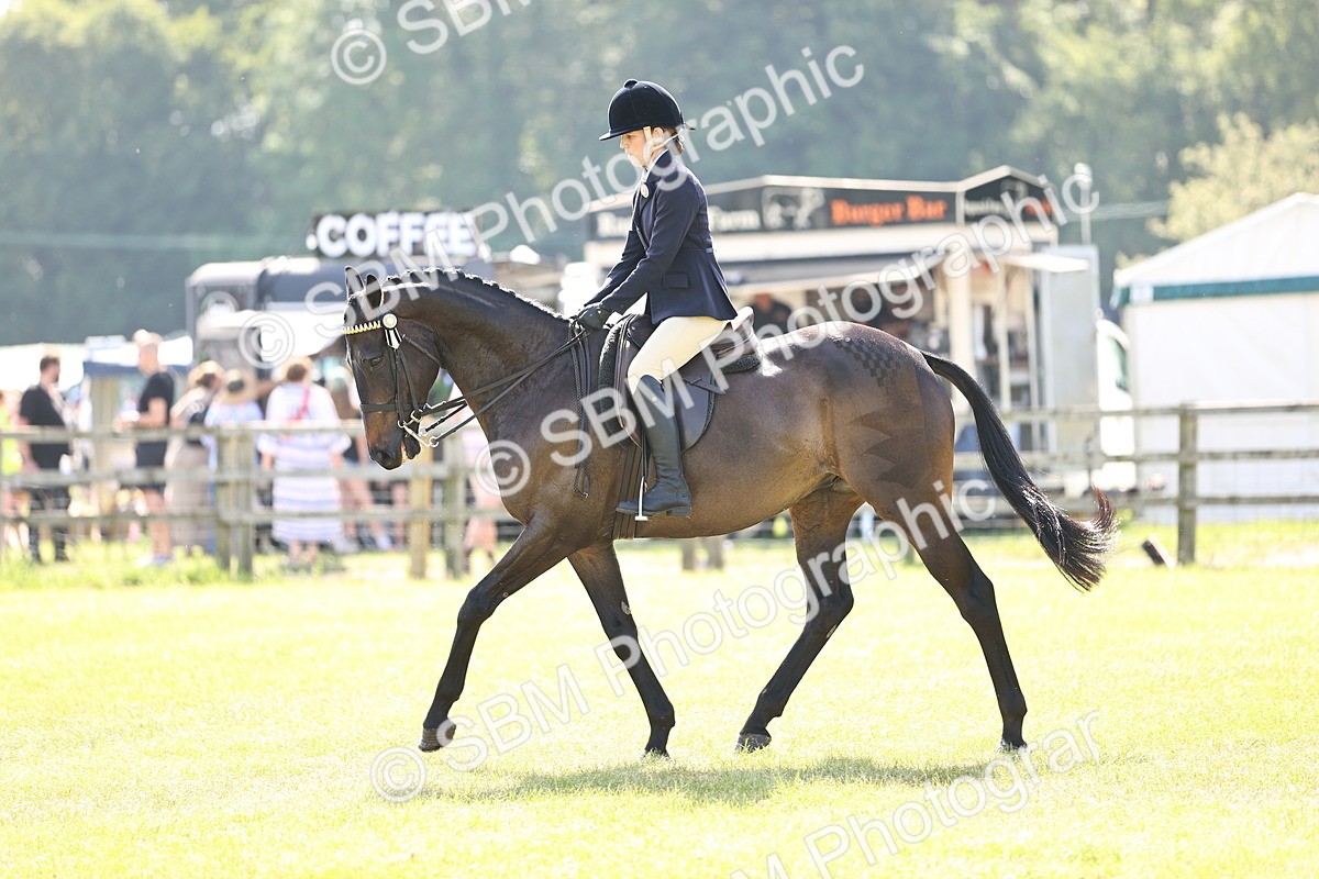 SBM_12930 - Class 75-76 LIHS BSHA Rising Star Hack Riding Horse