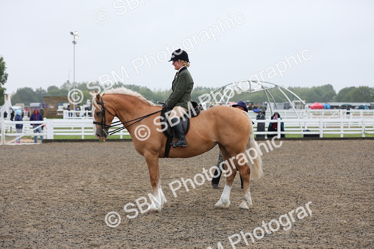 SBM_20333 - Class 803 - Ridden Combination 65+
