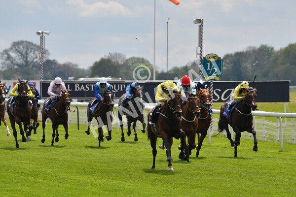 yr12052021r1-34 - Race 1 1.40pm Sky Bet Race to the Ebor Jorvik Stakes