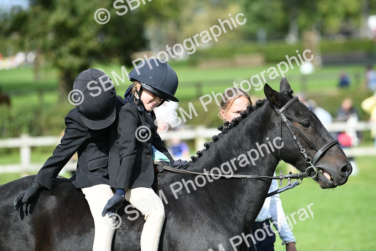 SBM_46976 - S12 - Family Horse & Pony
