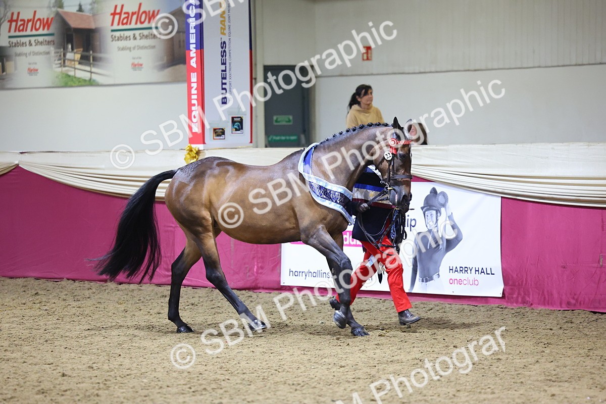 SBM_18946 - Class F Grass Roots Champ