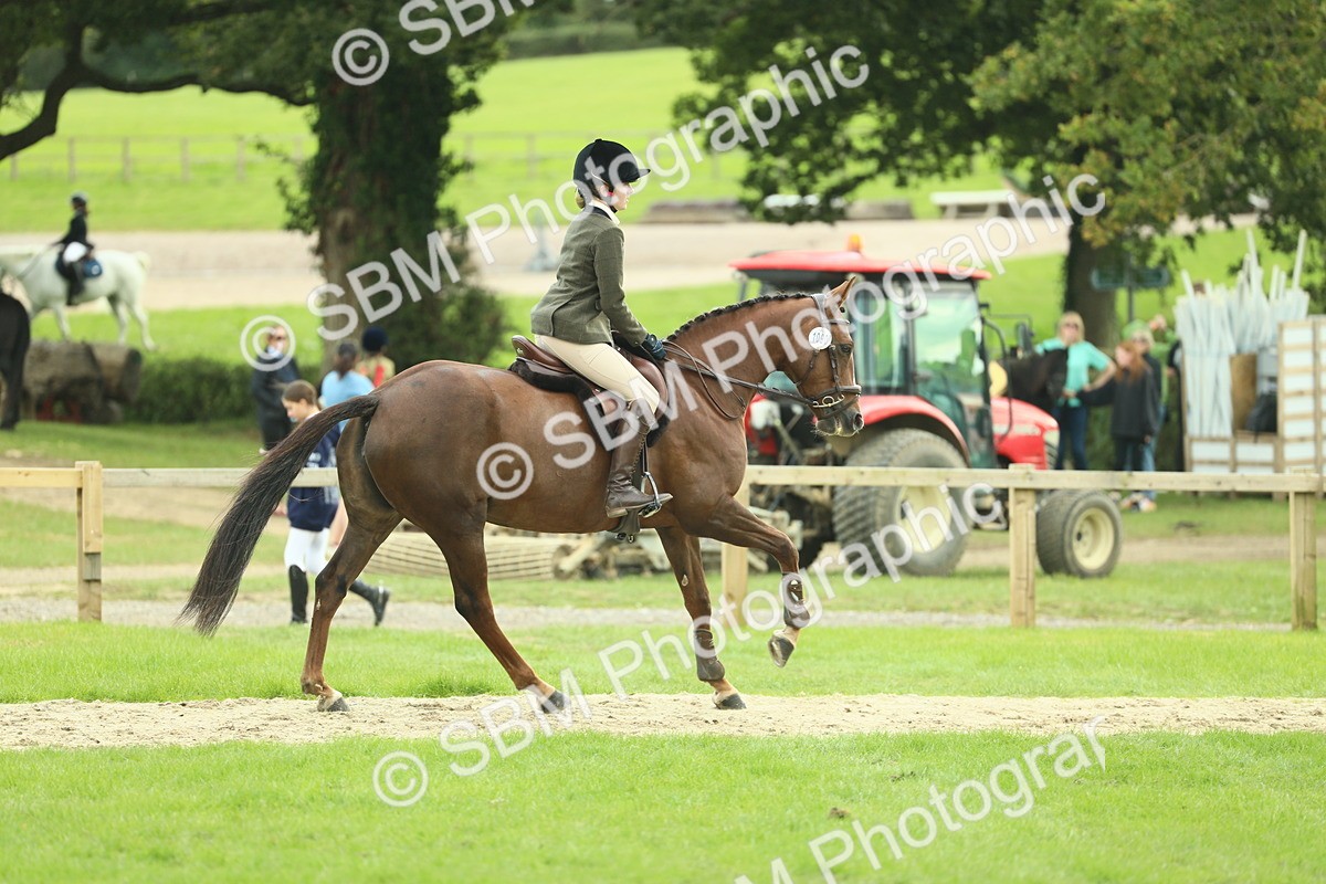 SBM_47950 - S32 - Novice & Newcomers Working Hunter