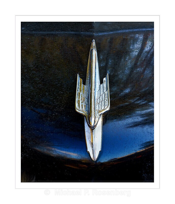 Imagination Taking Wing, GA - AUTOGRAPHICA: Faded Glory