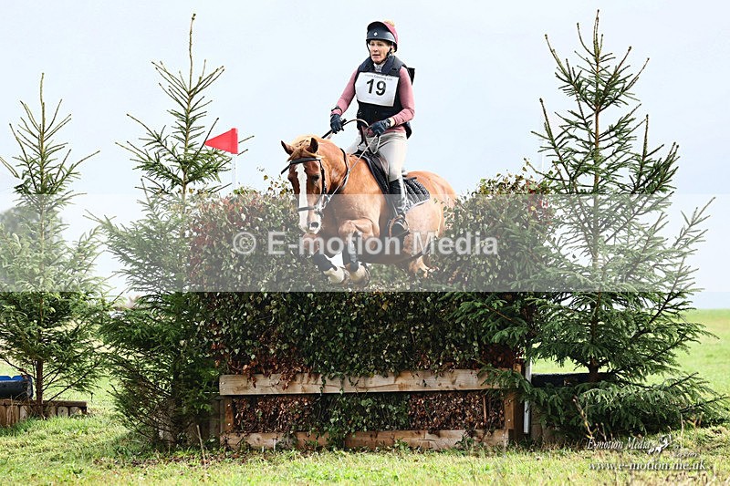 BEXC 130926 191a - Equestrian