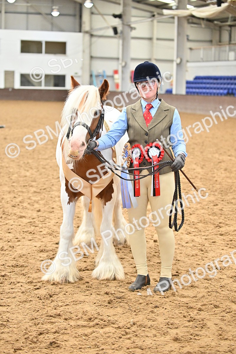 SBM_000800 - Class 16 - In Hand Showing Supreme Championships