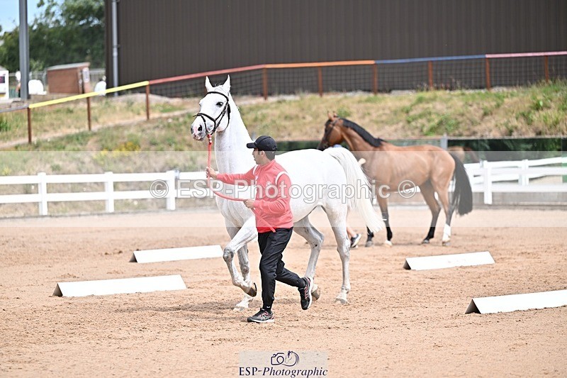 250716-132546-00503 - Trot Up 12.30 to 1.30
