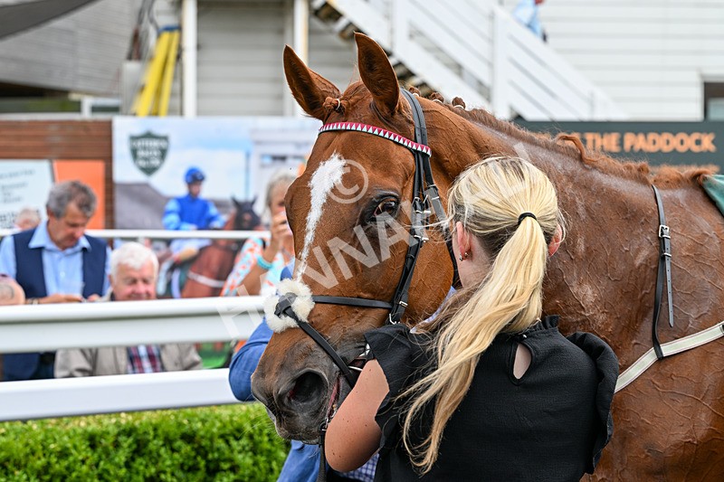 040826-Race 3-Free World-5200 - Race 3 15.15pm Jacky Rylance 60th Birthday Celebration Handicap