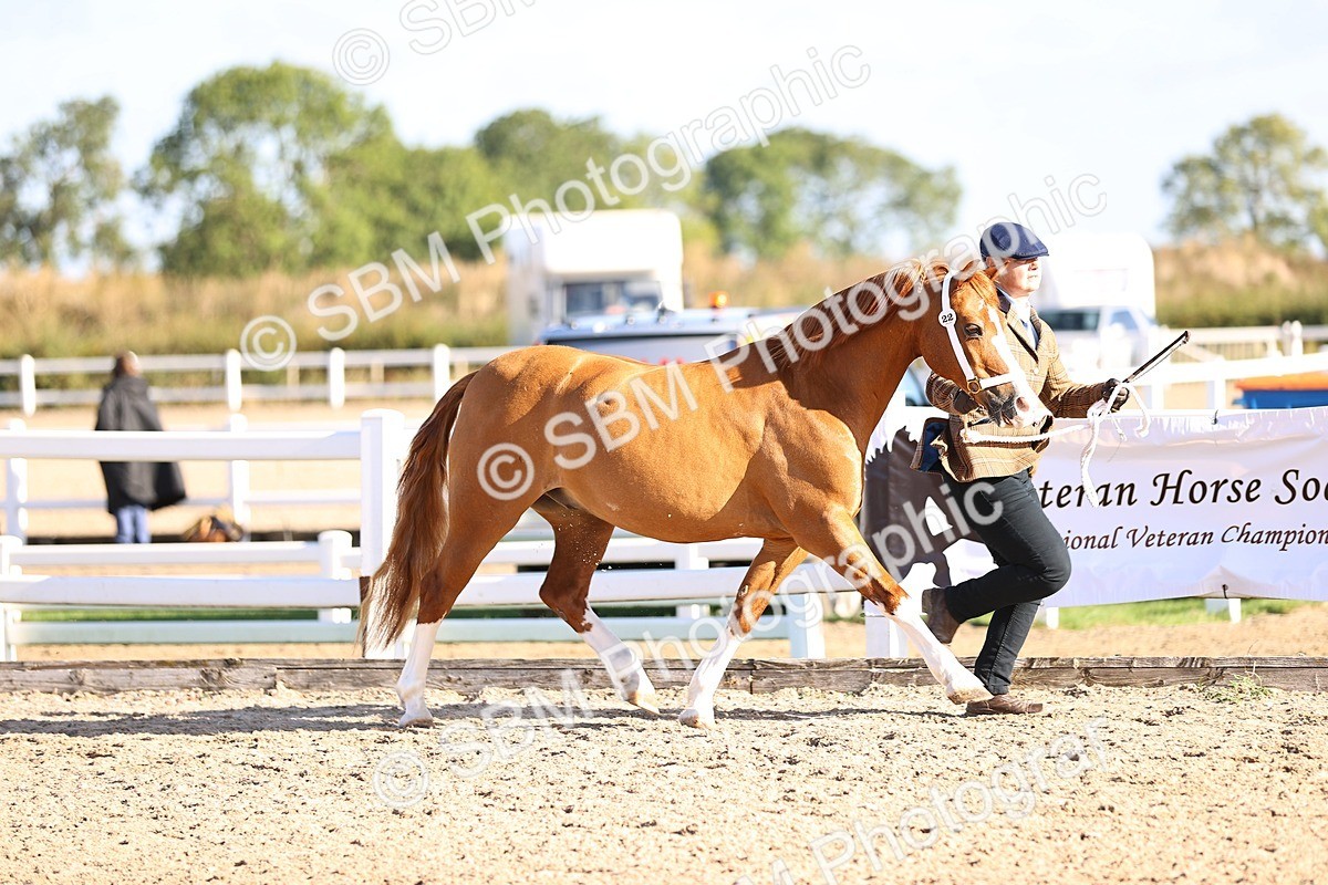 SBM_08438 - Class 402 - IH Veteran Pony