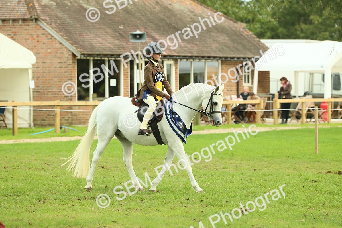 SBM_75247 - Super Supreme Championship