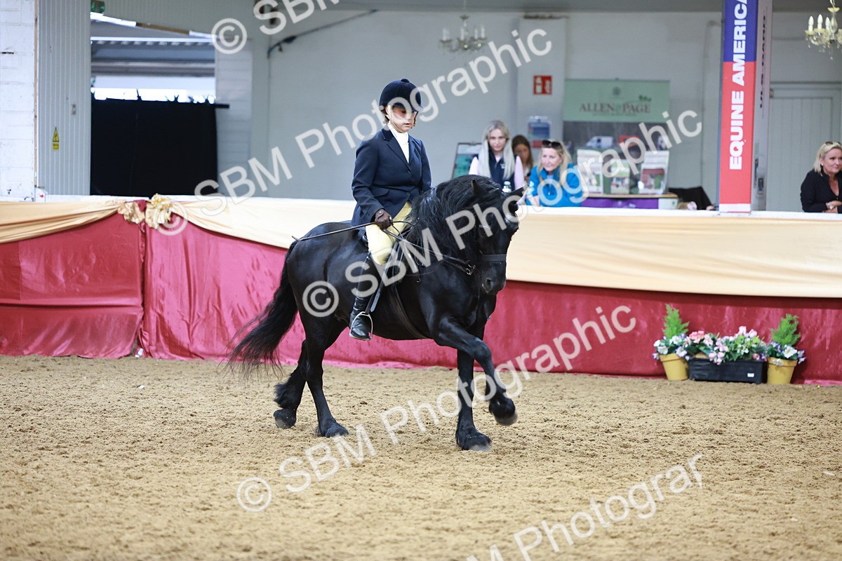 SBM_18802 - Class 952 - M&M Ridden Supreme Final