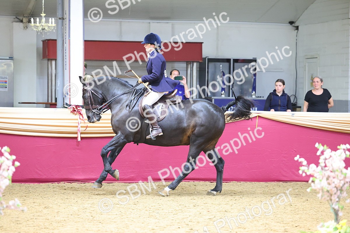 SBM_24155 - Class 905 - Supreme Final - Ridden Veteran