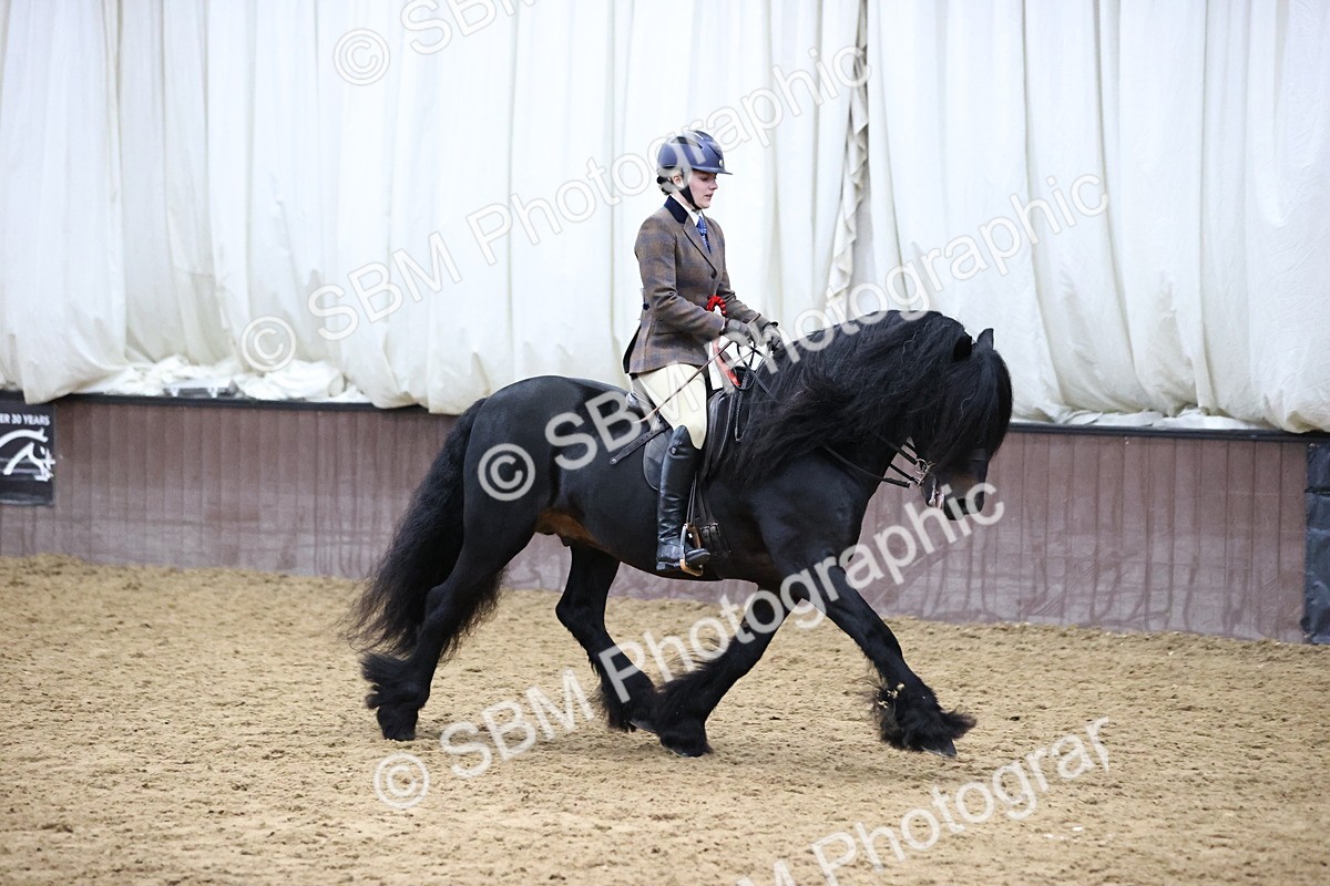SBM_6560 - Class 43 - Ridden Native Breeds