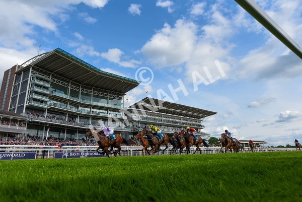 170523-Race 5-Dark Thirty-3993 - Race 5 4.10pm Conundrum HR Consulting Handicap