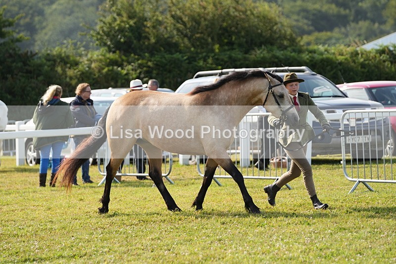 DSC04959 - Class 48: NPS M&M 2/3 year olds