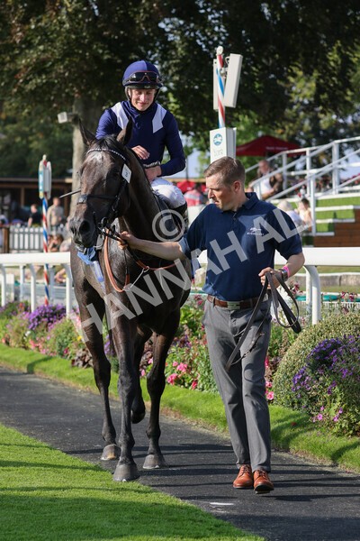 yr05092021r6-21 - Race 6 4.50pm Hanson Spring Stakes