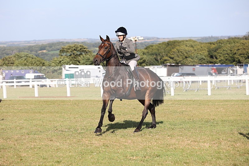 JPP_3108 - Class 21: Working Hunter 80cm