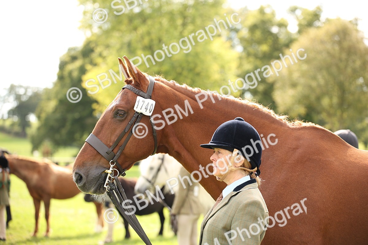 SBM_46393 - S25 - Mature Veteran In Hand