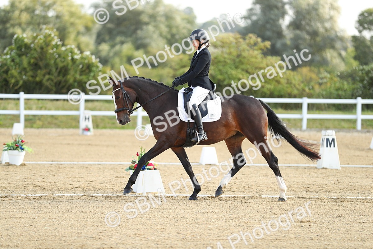 SBM_015010 - Class 13 - Novice 23 - 8,30-9.33