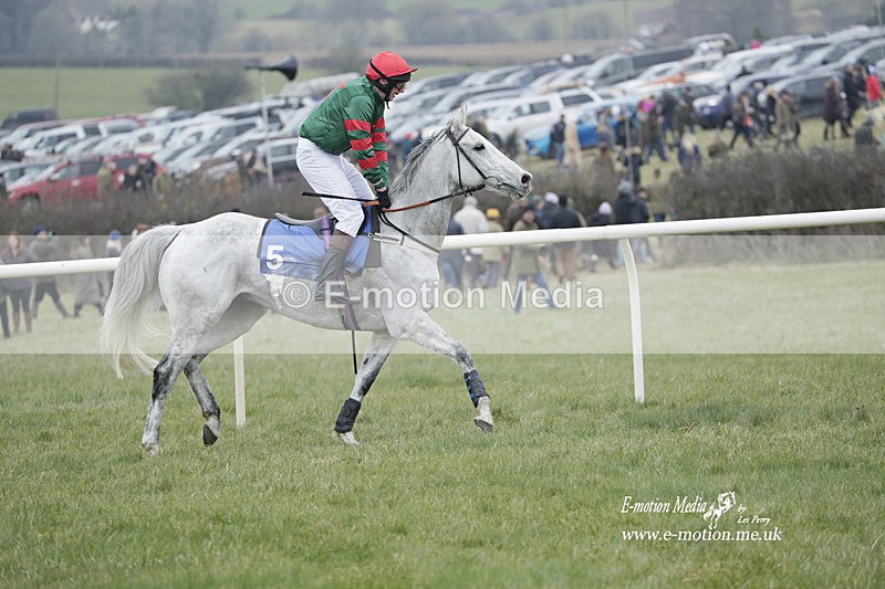 PtP 040323 616 - Duke of Beauforts Hunt Point-to-Point Didmarton 04/03/23