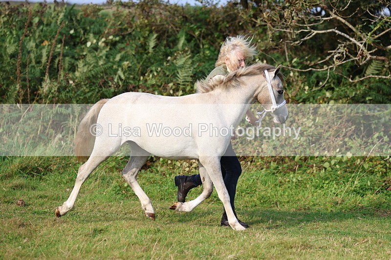 3E7A3153 - Class 12: M & M Small Breeds