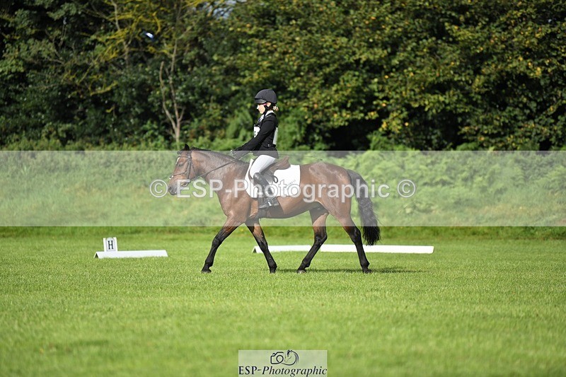 230826-090406-15016 - Sections C & D 9 to 10am