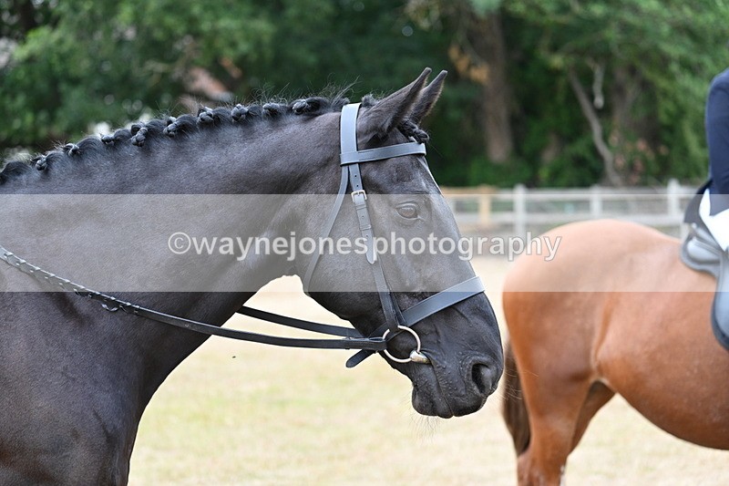 WJ7_1390 - Class 8 Ridden Veterans