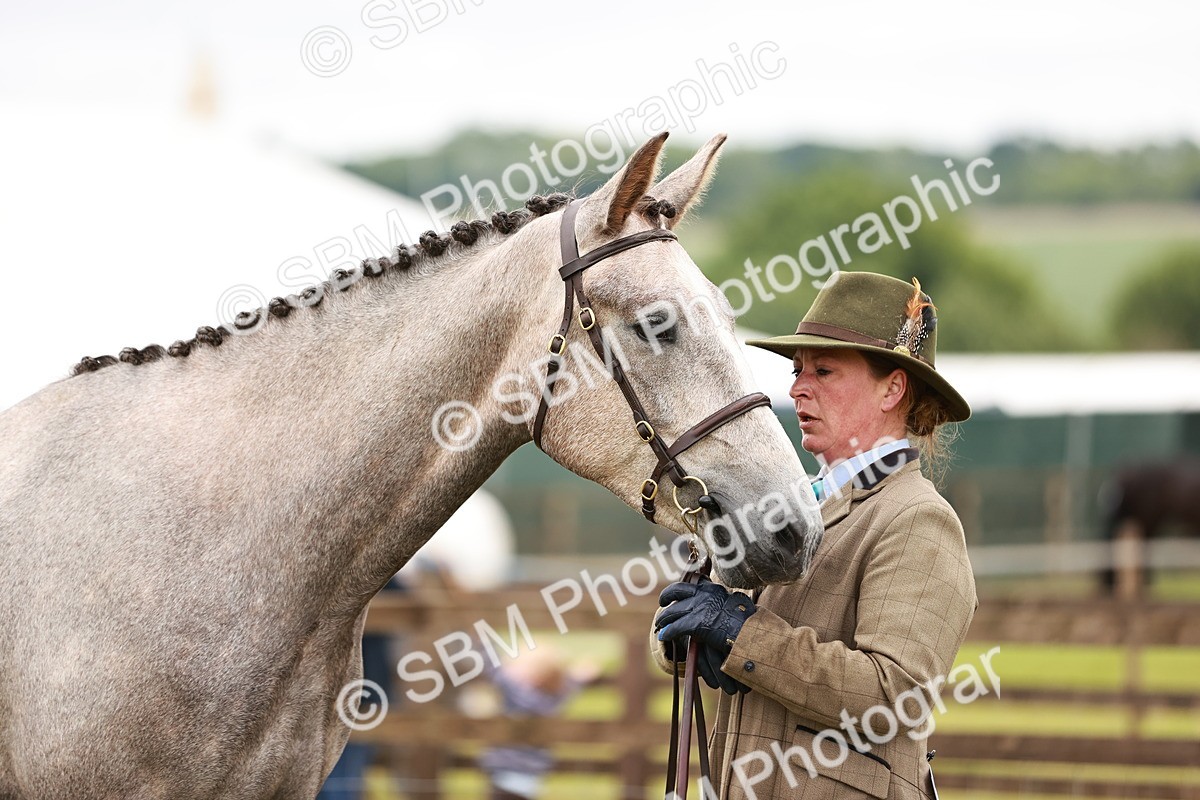 SBM_00728 - Class 26-30 Sport Horse In Hand