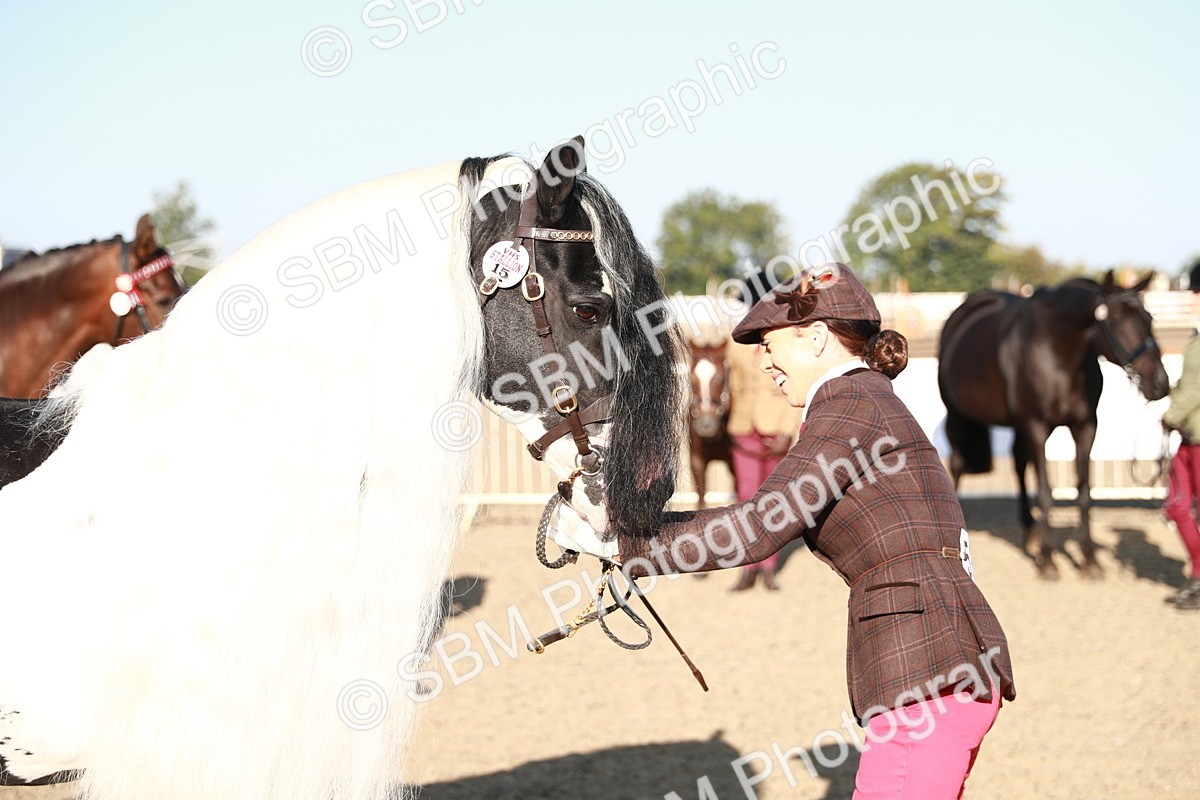 SBM_00054 - Class 40 Best Turned Out IH