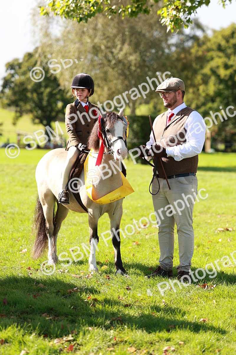 SBM_42193 - S32 - Mountain & Moorland Working Hunter Pony