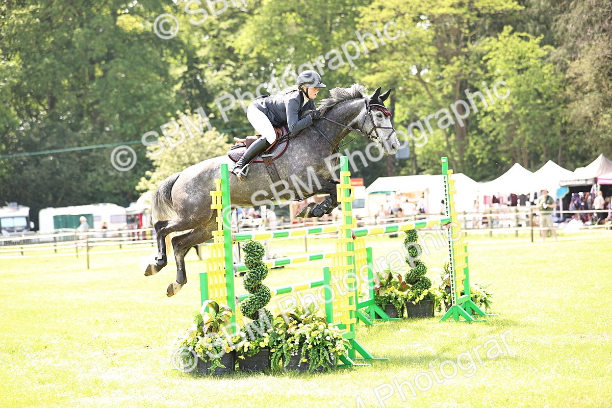 SBM_03230 - Class 201 - British Horse Feedds Speedi Beet HOYS Grade C