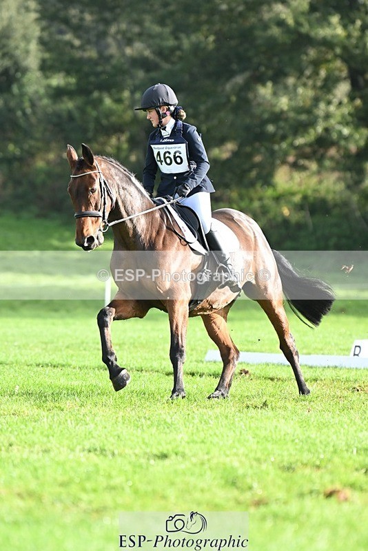 231020-095923-05833 - 466-SPARHANGER.VELVET-Tichy.Sanders-DR