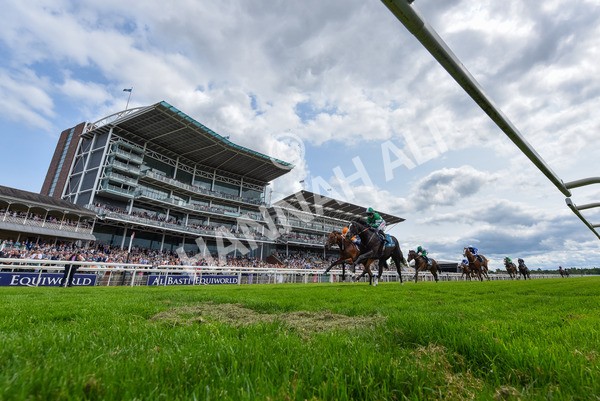 310525-Race 2-Tadej-3880 - Race 2 2.05pm Irish Thoroughbred Marketing EBF Restricted Novice Stakes