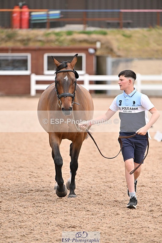 250716-142946-01119 - Trot Up 1.30 to 2.30