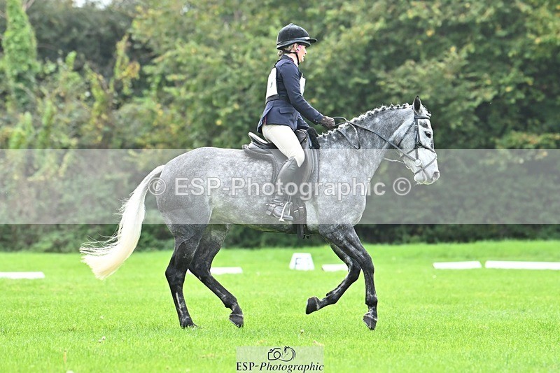 241024-115343-02533 - 320-Alice.Tollworthy-OUR.DOLPHIN.STAR