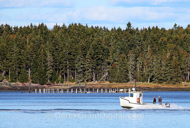Heading home - Boats