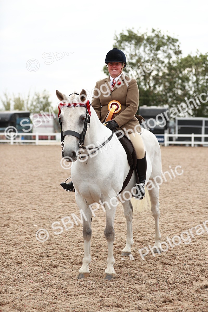 SBM_17634 - Class 215 Ridden Hack/ Riding Horse