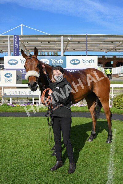yr13052021r7-53 - Race 7 4.50pm Autohorn Stakes
