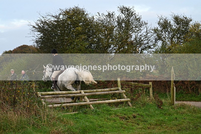 WJ7_0420 - Camera 1 & Last fence