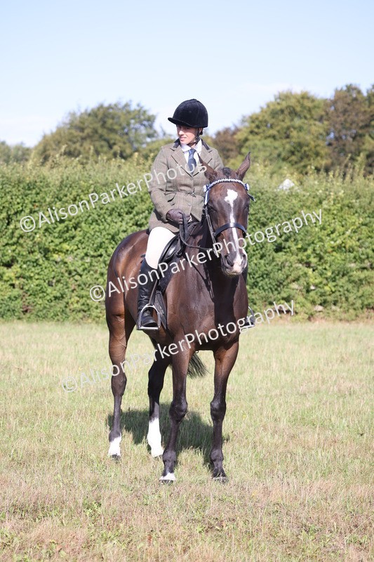 20260906-0379 - Class 14 - Ex Racehorse