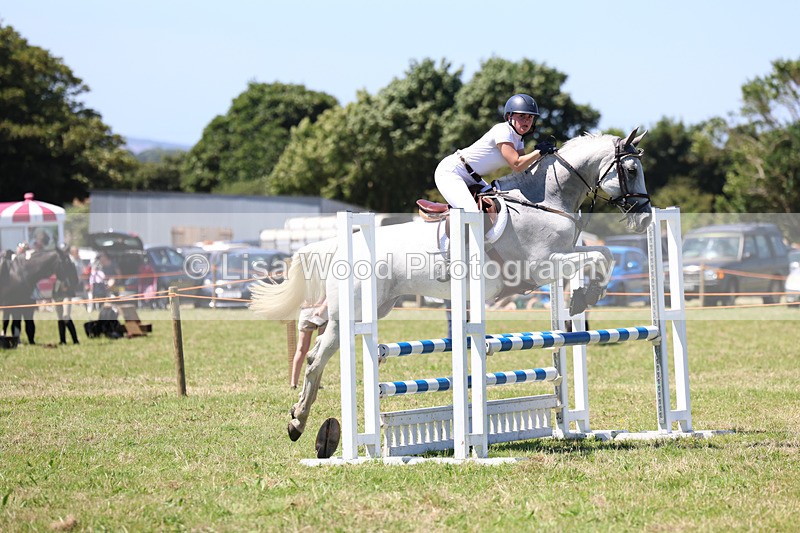 3E7A5614 - Class 9: Senior British Novice/90cm open
