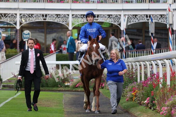 yr22072022r2-43 - Race 2 5.50pm eventmasters.co.uk Stakes