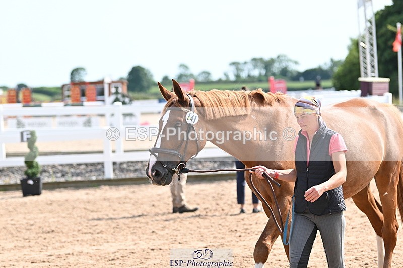 240717A-155626-03208 - Trot Up 3pm to 4pm