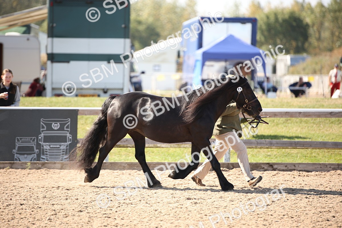 SBM_02675 - Class 16 IH M&M Wildcard