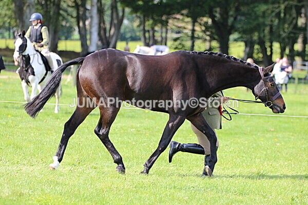 SIAL6510 - championships