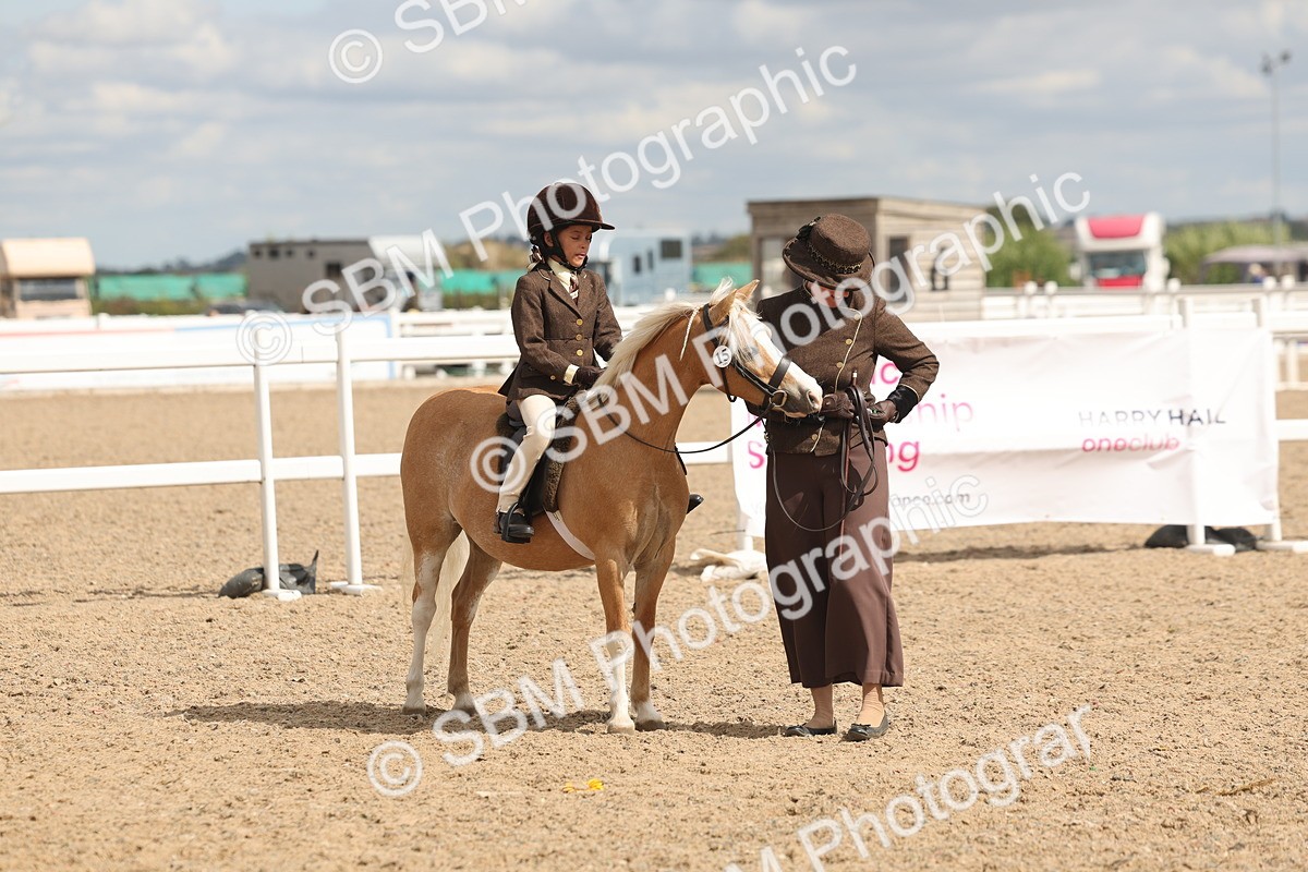 SBM_15776 - Class 309 - Lead Rein Pony