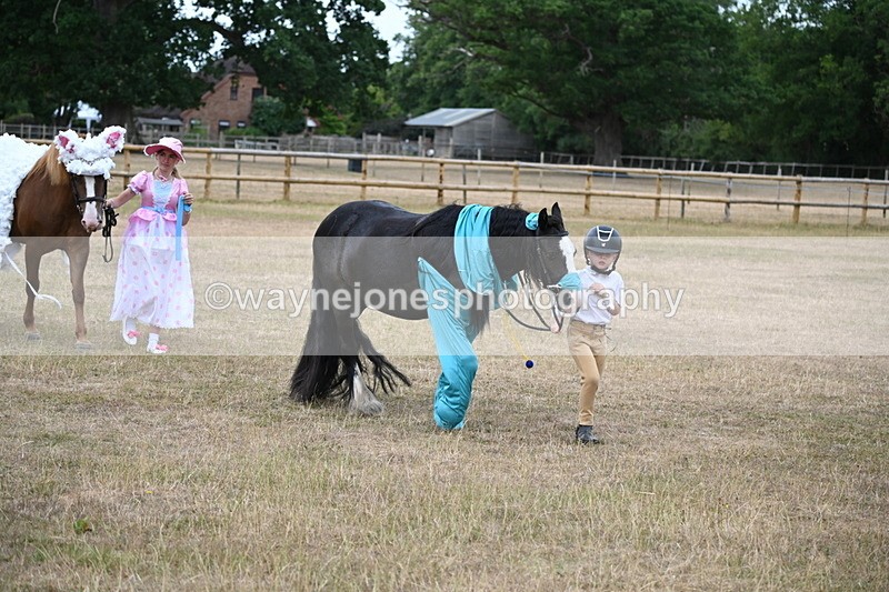 WJ6_8687 - Class 11 Fancy Dress