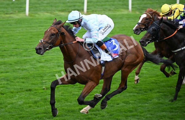 200825-104 Pride Of Arras - Race 3 3.00pm Sky Bet Great Voltigeur Stakes