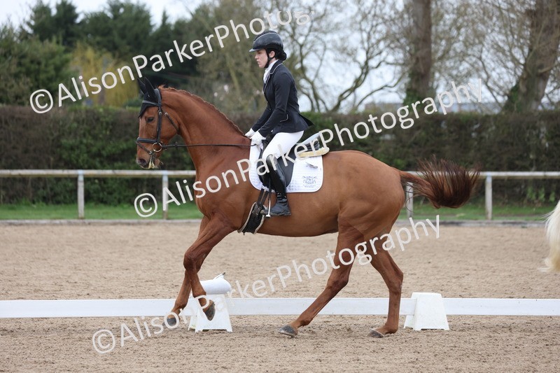 20260301-0384 - Class 3 - Novice 4