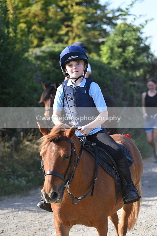 WJ5_5048 - Walk out with the hounds