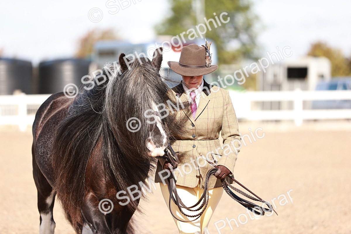 SBM_12598 - Class 404 - IH Traditional - Native Cob